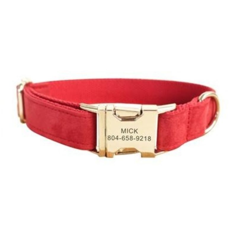 Collier pour chien en velours rouge avec plaque gravée dorée