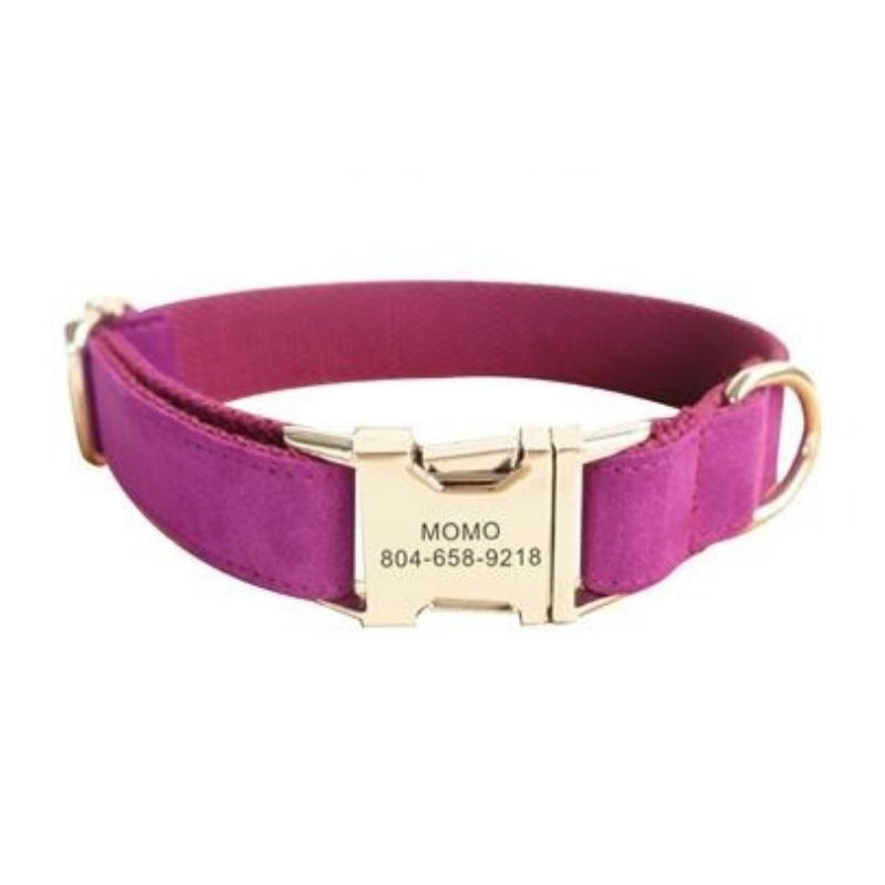 Collier pour chien en velours violet avec finition dorée personnalisée