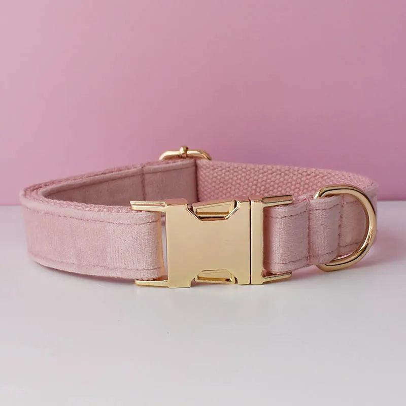 Collier pour chien en velours beige clair avec plaque gravable dorée