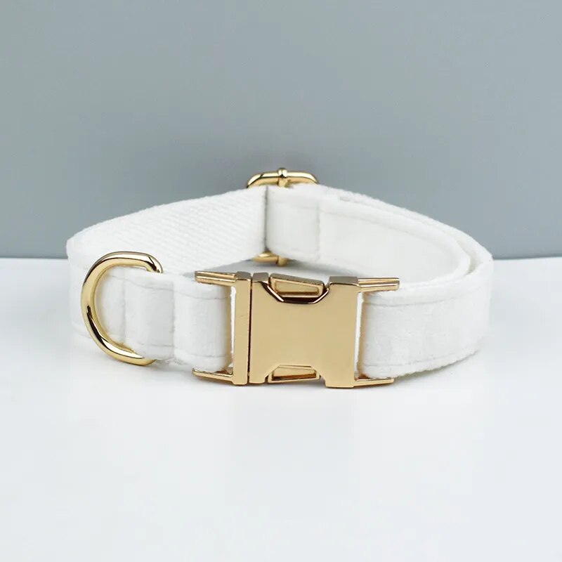 Collier pour chien en velours blanc clair avec plaque personnalisable dorée