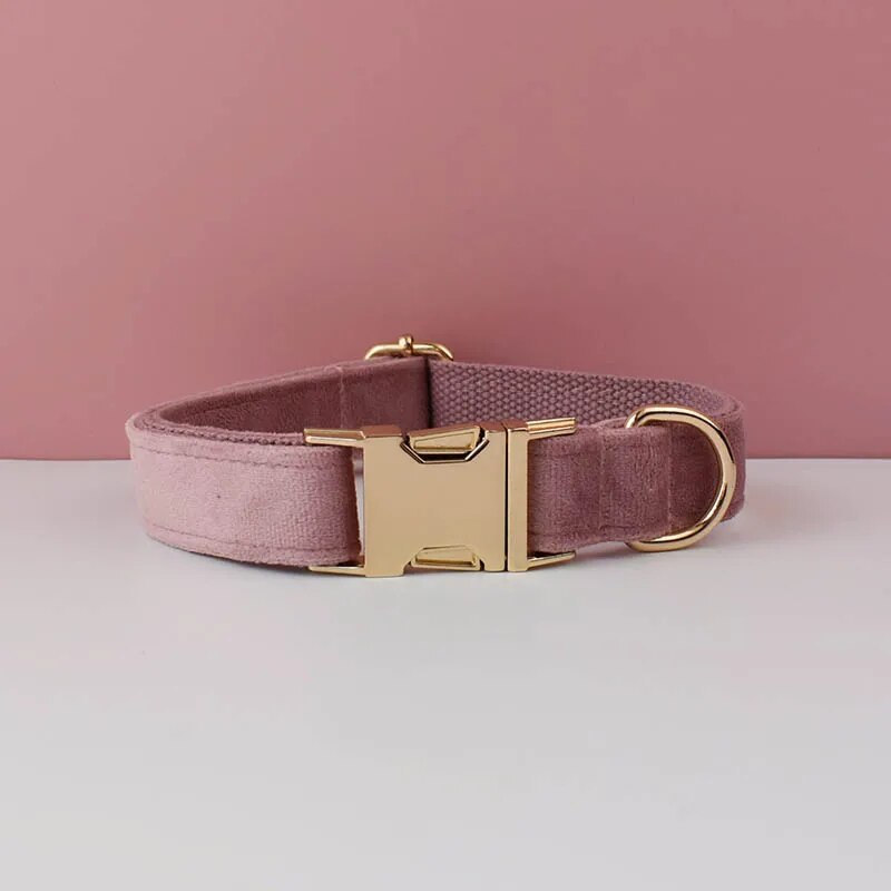 Collier personnalisé en velours réglable chien boucle dorée