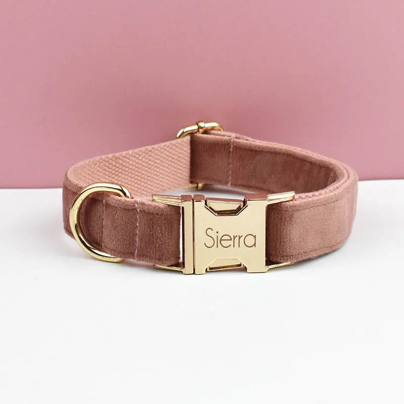Collier pour chien en velours marron clair avec anneau en D doré