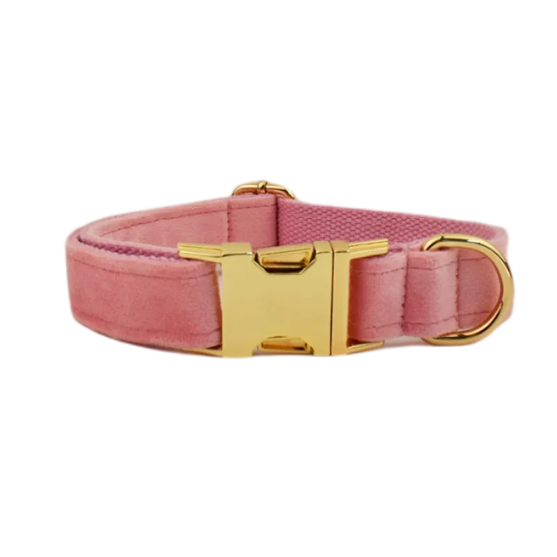 Collier pour chien en velours rose clair avec boucle dorée réglable