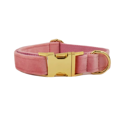 Collier pour chien en velours rose clair avec boucle dorée réglable