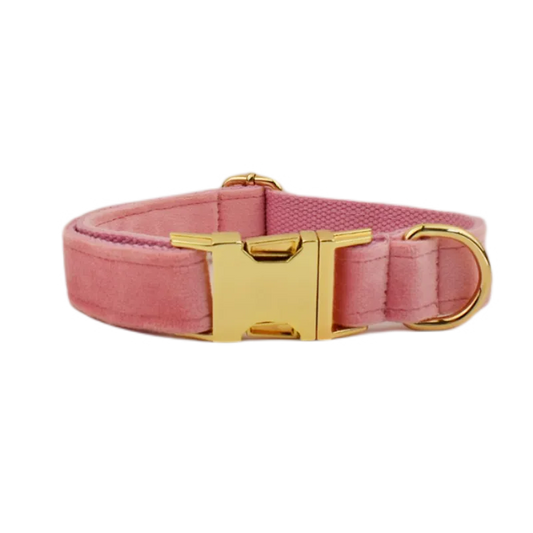 Collier pour chien en velours rose clair avec boucle dorée réglable