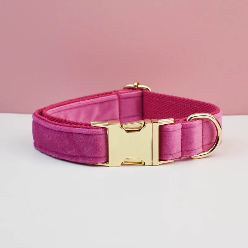 Collier personnalisé en velours réglable chien boucle dorée