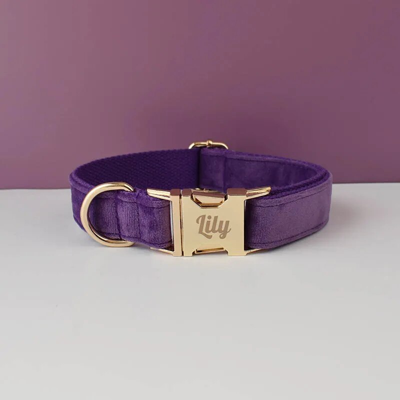 Collier personnalisé en velours réglable chien boucle dorée