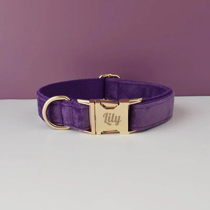 Collier personnalisé en velours réglable chien boucle dorée