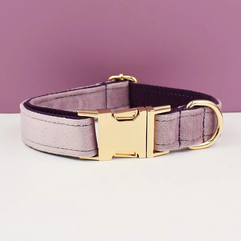 Collier pour chien en velours violet doux avec finition dorée personnalisable