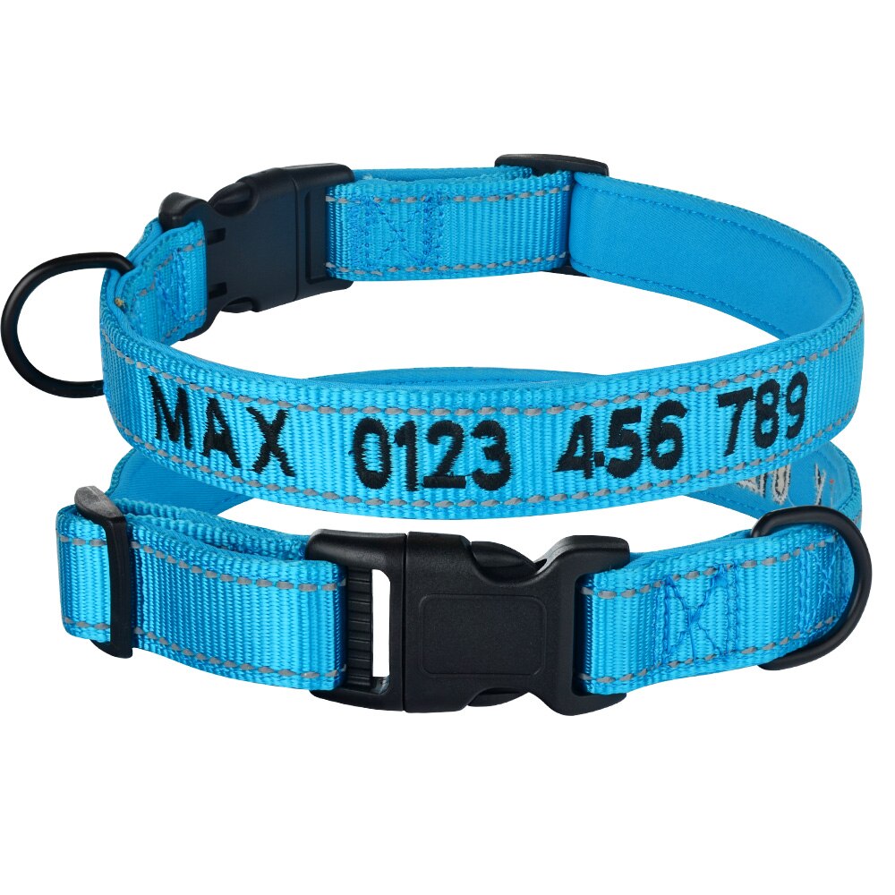 Collier pour chien bleu et noir réfléchissant avec fermeture à clip
