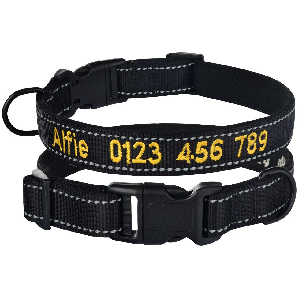 Collier chien personnalisé nylon réfléchissant ajustable