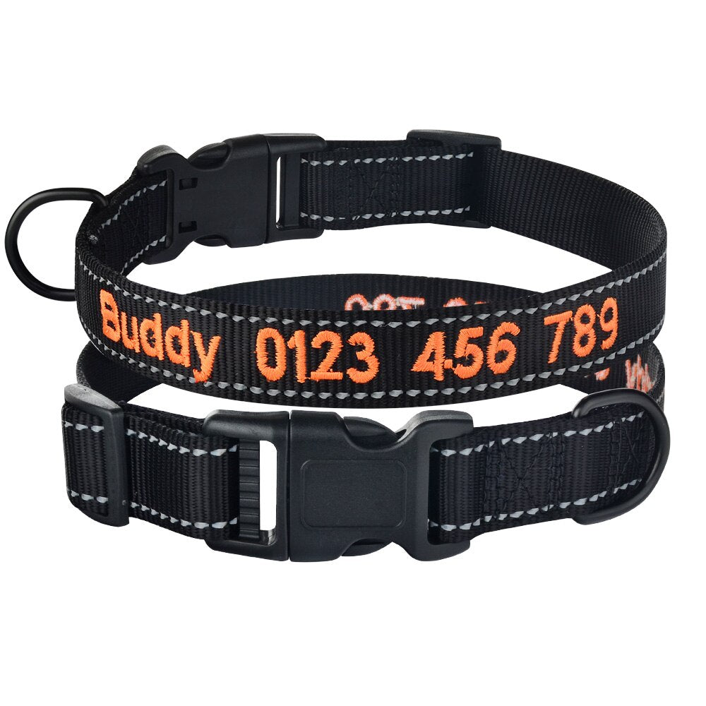 Collier chien personnalisé nylon réfléchissant ajustable