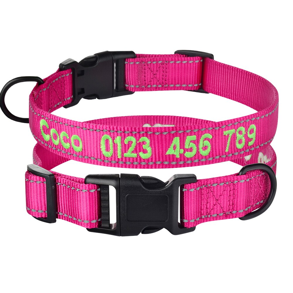 Collier chien personnalisé nylon réfléchissant ajustable
