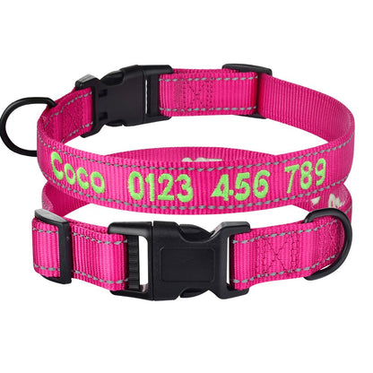Collier chien personnalisé nylon réfléchissant ajustable