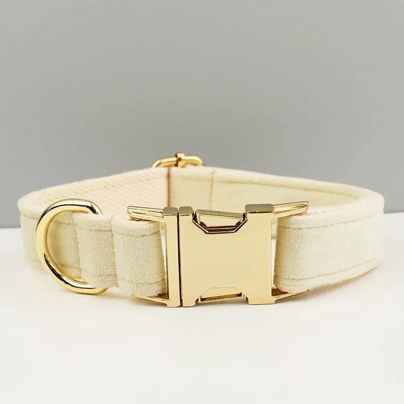 Collier chien personnalisé velours boucle gravée réglable