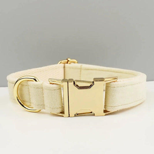 Collier pour chien en velours blanc avec boucle gravée dorée