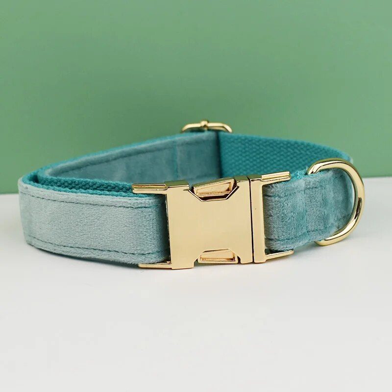 Collier pour chien en velours bleu clair avec boucle dorée gravée