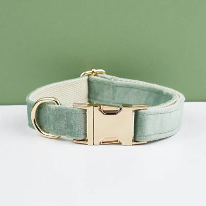 Collier pour chien en velours gris doux avec boucle gravée