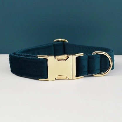 Collier chien personnalisé velours boucle gravée réglable