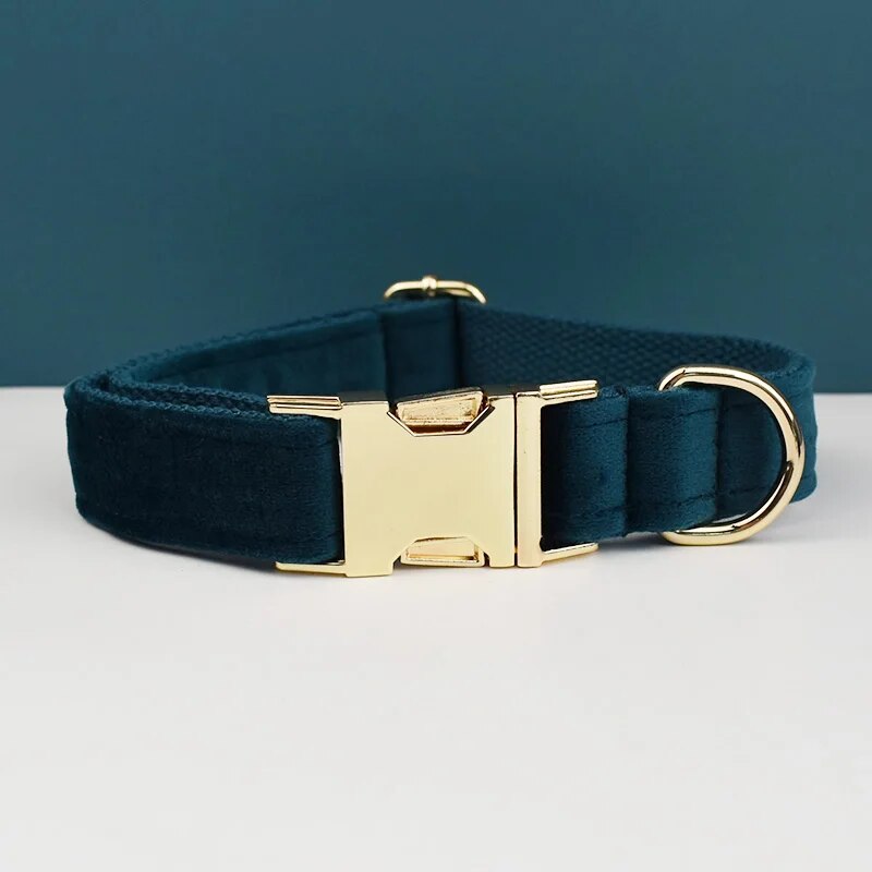 Collier pour chien en velours noir personnalisé avec attache laisse