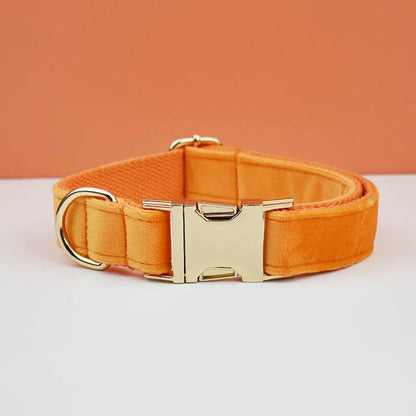 Collier chien personnalisé velours boucle gravée réglable