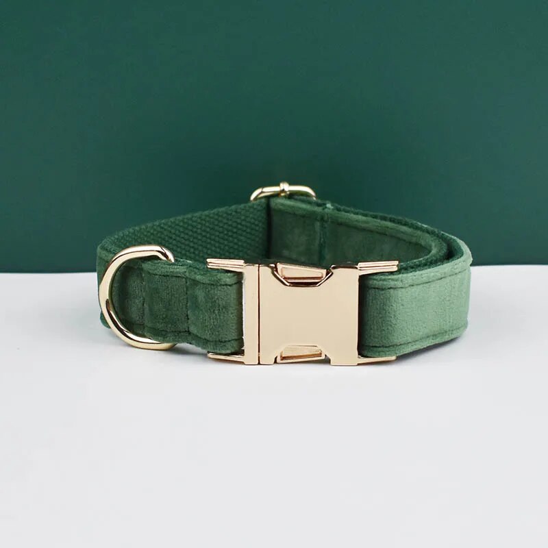 Collier pour chien en velours vert avec boucle métallique personnalisée