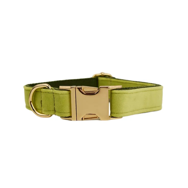 Collier chien personnalisé velours boucle gravée réglable