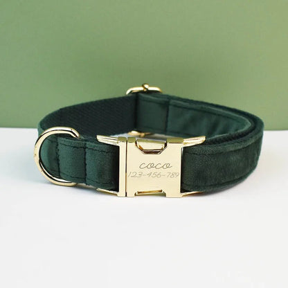 Collier chien personnalisé velours boucle gravée réglable