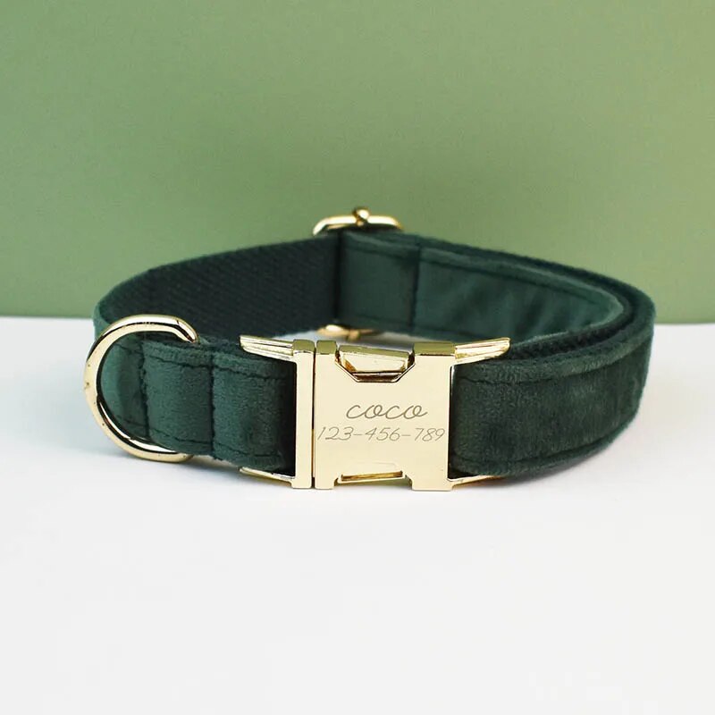 Collier pour chien en velours vert foncé réglable avec gravure