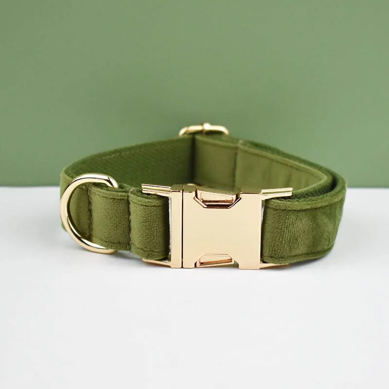 Collier chien personnalisé velours boucle gravée réglable