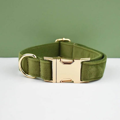 Collier chien personnalisé velours boucle gravée réglable