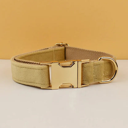 Collier personnalisé en velours pour chien avec plaque gravée