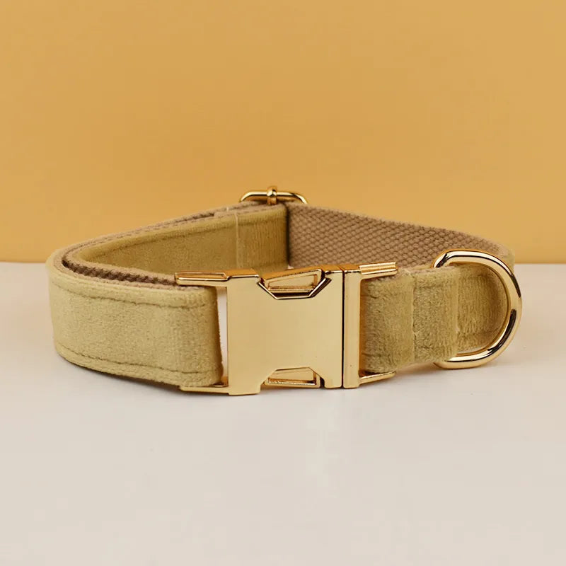Collier pour chien en velours beige doux avec attache laisse