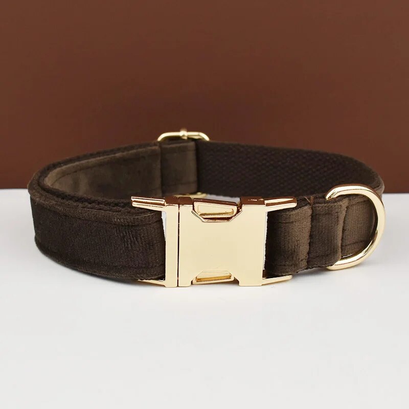 Collier pour chien en velours café avec boucle métal dorée