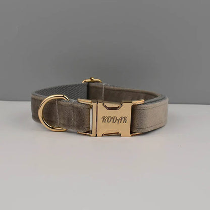 Collier pour chien en velours gris cendré avec plaque gravable