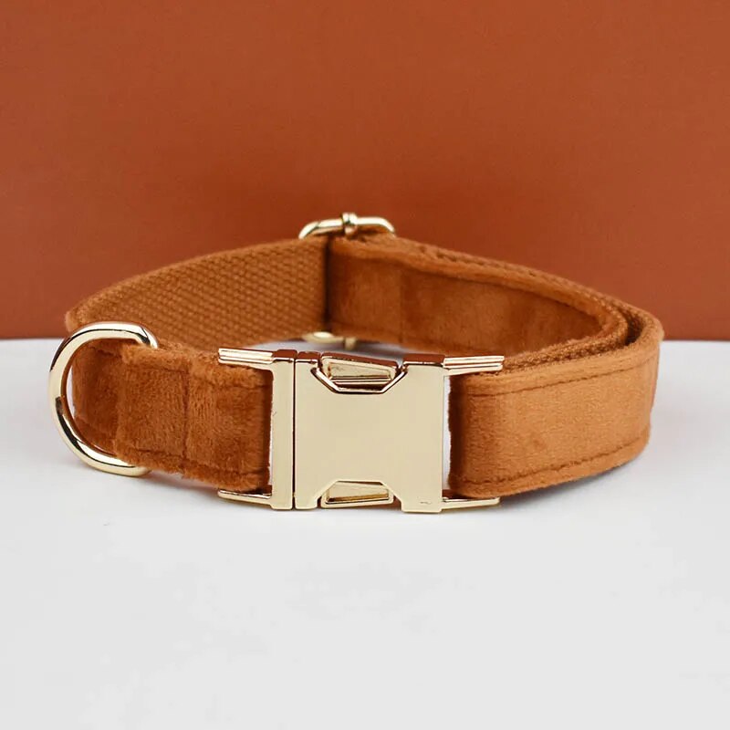 Collier personnalisé en velours pour chien avec plaque gravée
