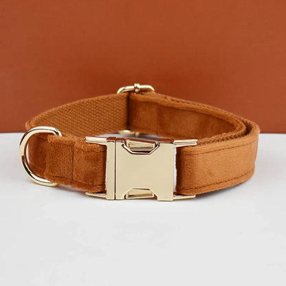 Collier pour chien en velours marron avec plaque nom et téléphone