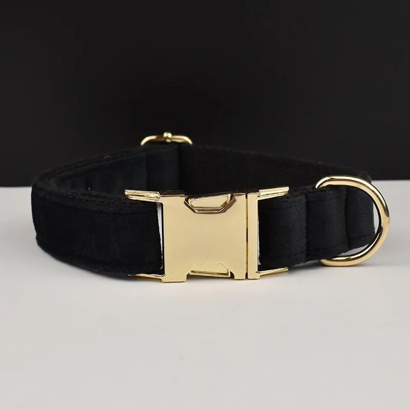 Collier pour chien en velours noir réglable avec anneau en D