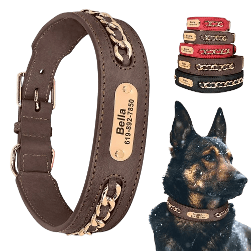 Collier personnalisé pour chien en cuir avec chaîne dorée et plaque gravée