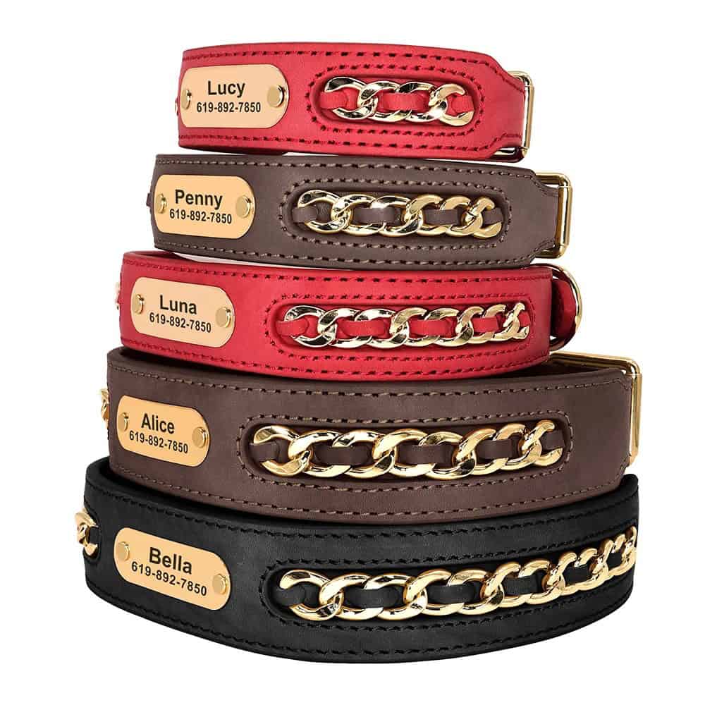 Collier pour chien en cuir avec chaîne dorée vue générale élégante