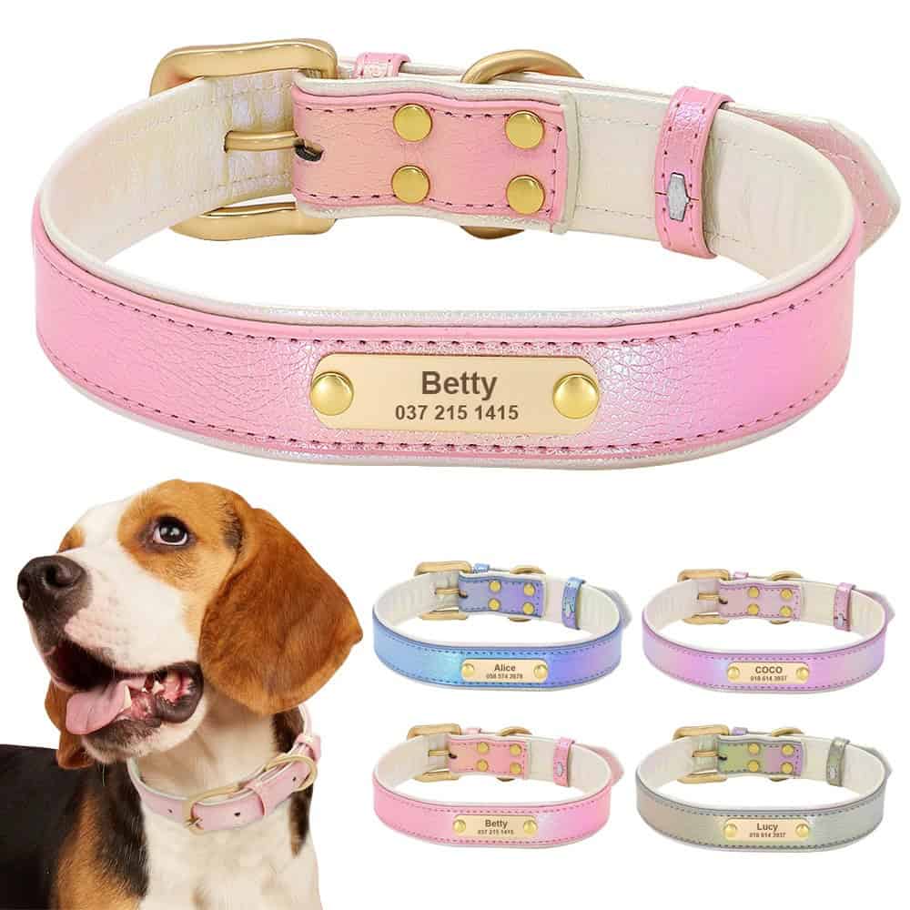 Collier personnalisé pour chien en cuir irisé avec plaque dorée gravée