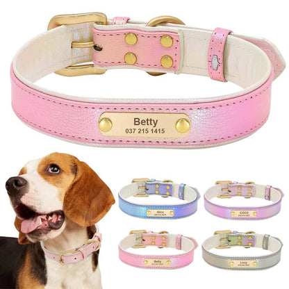 Collier personnalisé pour chien en cuir irisé avec plaque dorée gravée