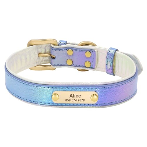 Collier personnalisé pour chien bleu avec cuir irisé et attache dorée