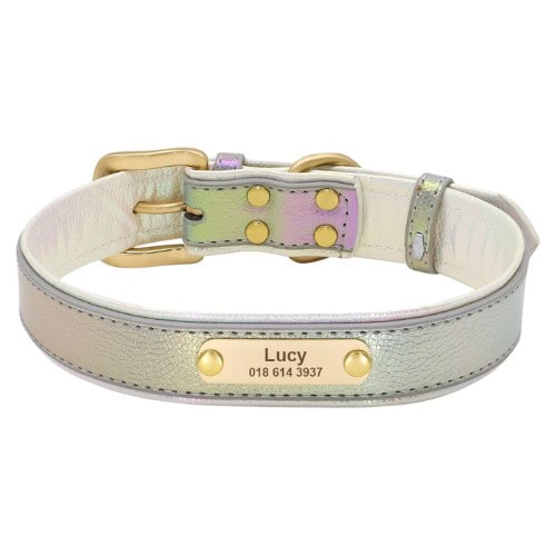Collier personnalisé pour chien gris argenté avec plaque gravée visible