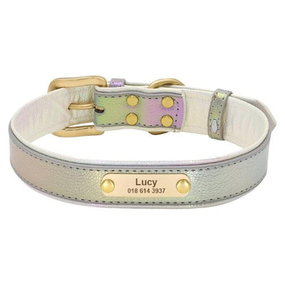 Collier personnalisé pour chien gris argenté avec plaque gravée visible