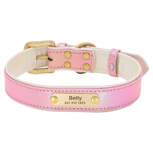 Collier personnalisé pour chien rose avec plaque d identification gravée