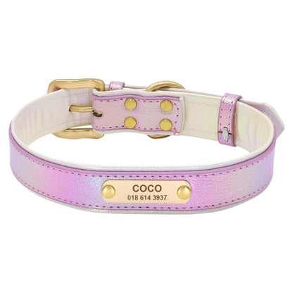 Collier personnalisé pour chien violet avec plaque dorée et boucle assortie