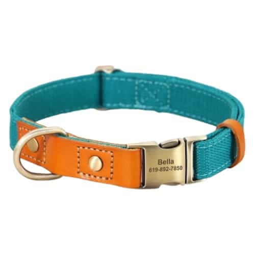 Collier personnalisé pour chien bleu en cuir et nylon avec gravure
