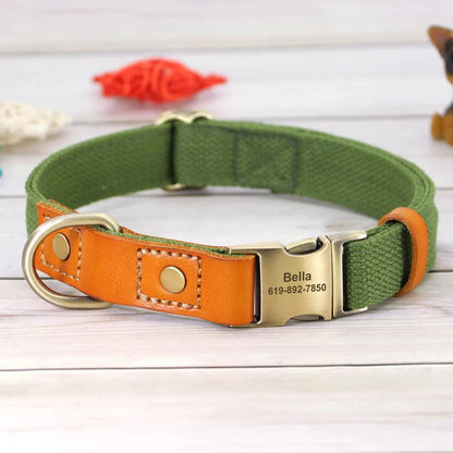 Collier pour chien cuir nylon personnalisable présenté en vue générale