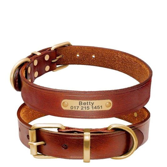 Collier pour chien en cuir marron avec plaque gravée dorée